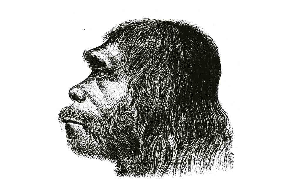 Carl Fuhlrott entdeckte den Neanderthaler